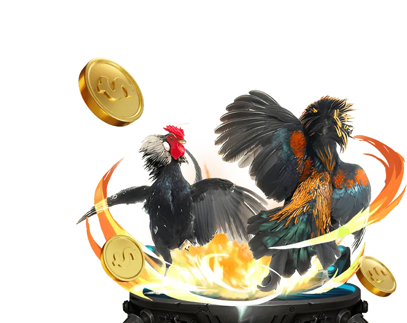 Cá cược bóng đá 6 bet