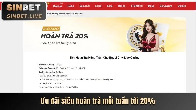 Cá cược trực tiếp 6 bet